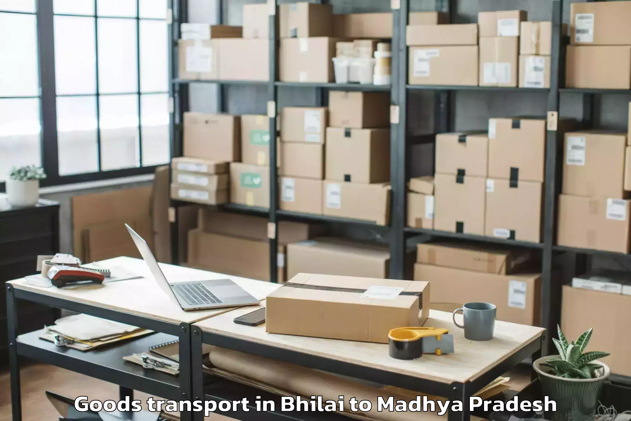 Book Bhilai to Prithvipur Goods Transport Online